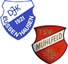 Wappen SG Eußenhausen/Mühlfeld (Ground B)  66493