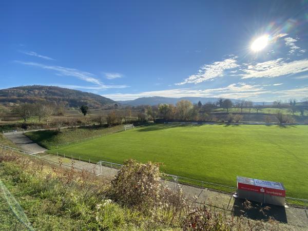 Sportanlage Palmengasse - Friesenheim/Baden-Oberweier