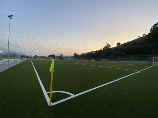 Sportplatz Luterbach Platz 2 - Küssnacht am Rigi