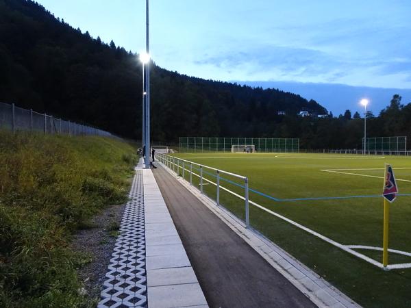 Sportanlage Jahnweg Platz 2 - Bad Wildbad