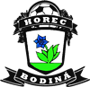 Wappen TJ Horec Bodiná