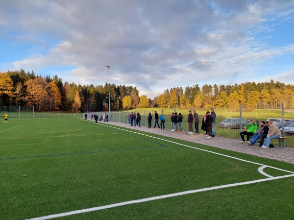 Brauerei-Elf Stadion - Weilheim/Baden-Remetschwiel