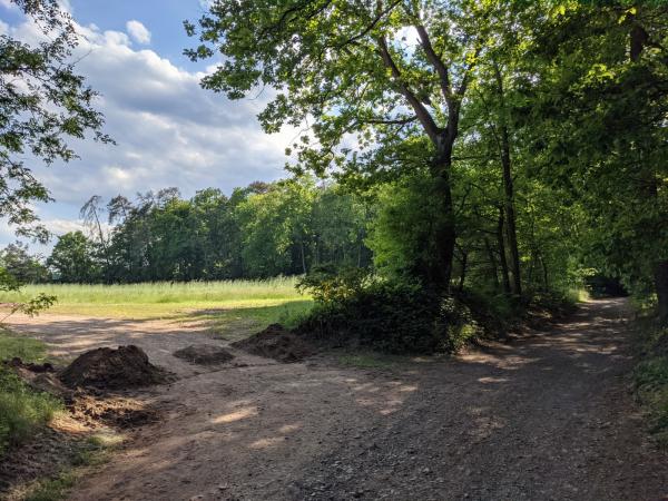 Sportplatz am Eisenberger Wald - Wattenheim/Pfalz