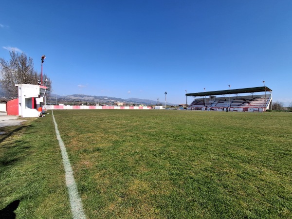 Gipedo Chrysou - Chryso