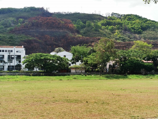 IE Politécnico Municipal de Cali Campo 1 - Cali