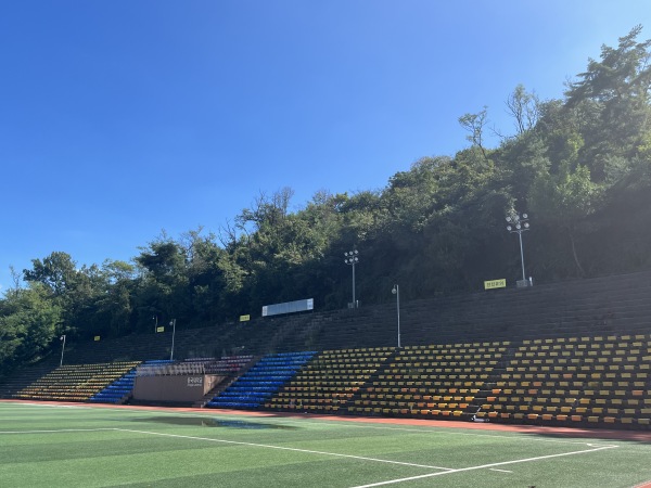 Dongguk University Stadium - Seoul