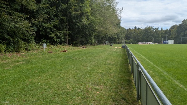 Sportplatz an der Altheimer Markt - Altheim/Alb