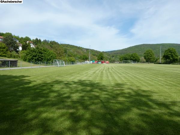 Sportanlage Jägerwiese Platz 2 - Rieneck