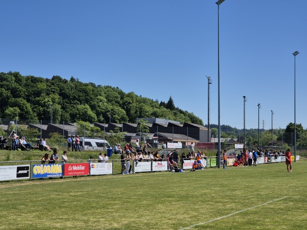 Sportplatz Staadfeld - Wangen an der Aare