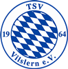 Wappen TSV Vilslern 1964 diverse