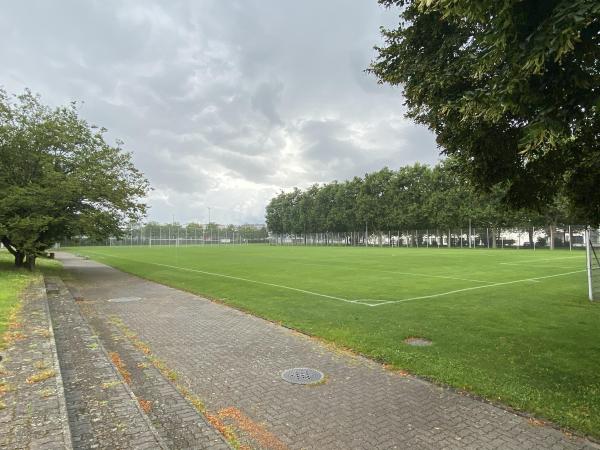 Sportanlage Bachgraben Platz 2 - Allschwil