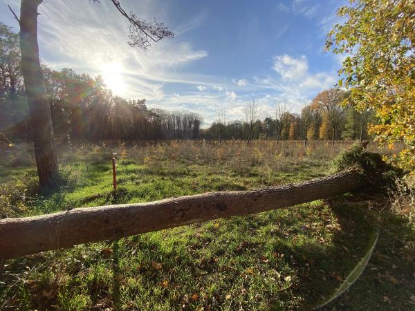 Sportplatz Happelter - Schwalmtal/Niederrhein-Amern