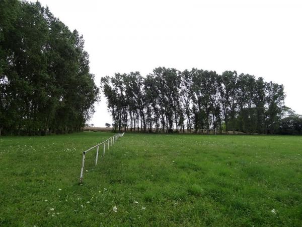 Sportplatz Ihlewitz - Gerbstedt-Ihlewitz