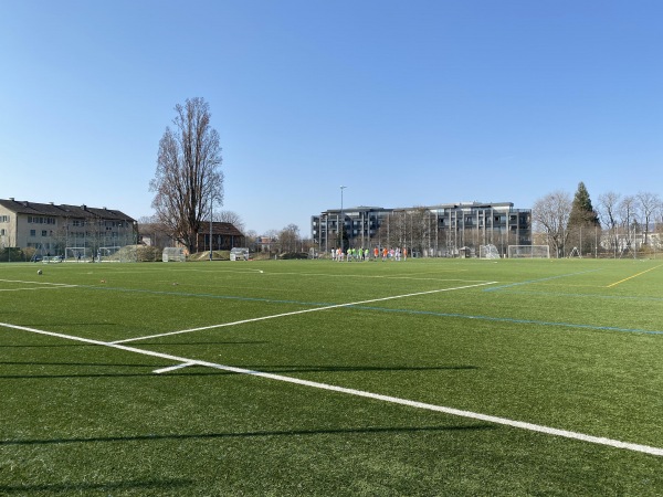 Sportplatz Riet Platz 2 - Zollikon