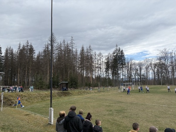 Waldsportplatz - Cursdorf-Ziegelhütte