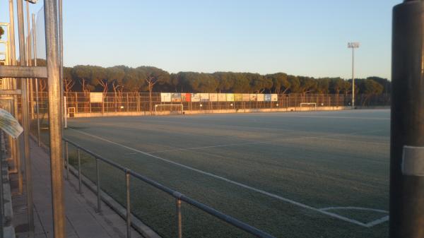 Campo de Fútbol Piqueñas - Madrid, MD