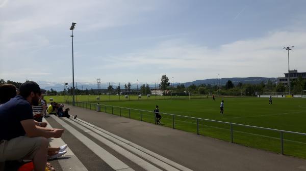 AXA-Field Gries 2 - Volketswil