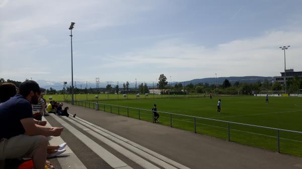 Sportanlage Griespark Platz 2 - Volketswil