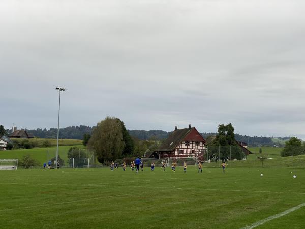 Sportplatz Schönegg - Wädenswil