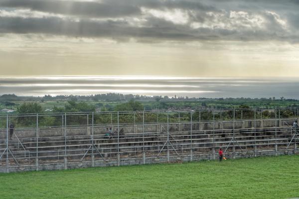 Complexe Sportif de Camp Levieux - Beau Bassin-Rose Hill