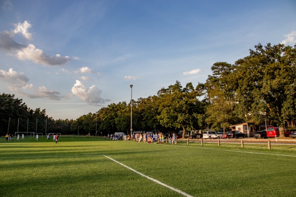 Sportanlage Schönberg Platz 2 - Lauf/Pegnitz-Schönberg