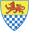 Wappen FC Oberwinterthur diverse