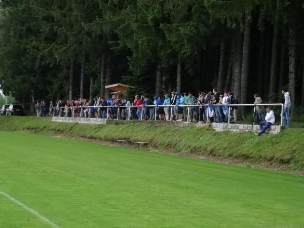 Sportanlage auf dem Dachsberg - Dachsberg/Südschwarzwald-Wilfingen