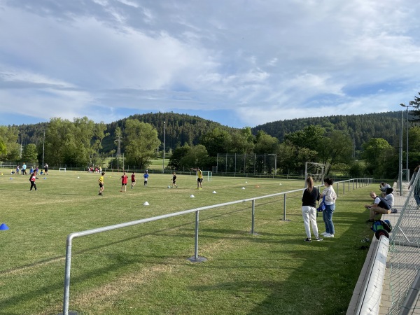 Sportplatz Wiesental - Wurmlingen