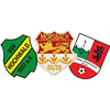 Wappen SG Hochwald/Holpe-Wallerhausen/Morsbach - Frauen (Ground C)