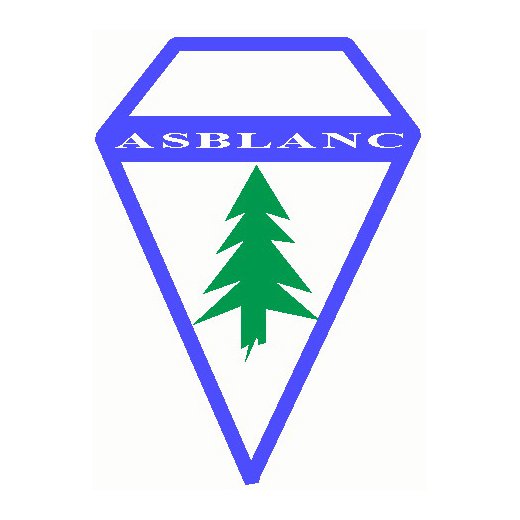 Wappen ASB Vieux-Thann   100561