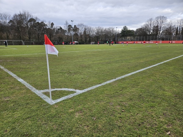 SANA Sportpark Platz 3 - Offenbach/Main