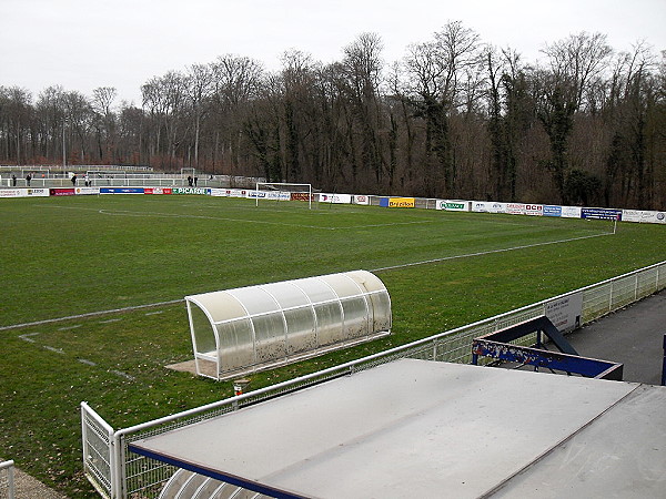 Alter Zustand (Naturrasen)