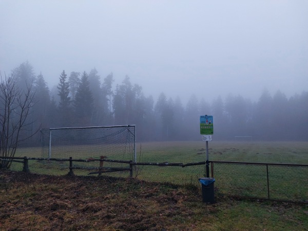 Waldsportplatz Kirchseeon - Kirchseeon