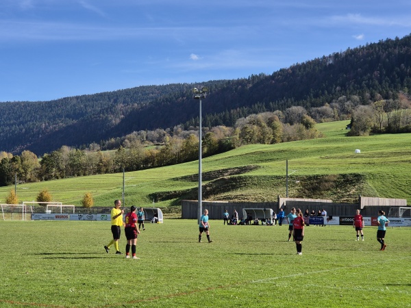 Terrain de la Léchère - Couvet
