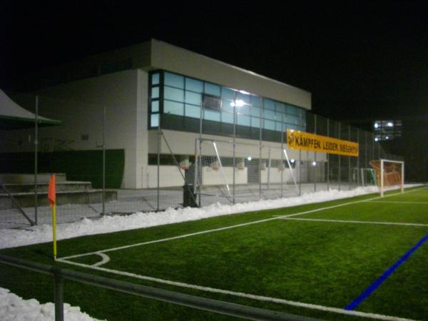 Sportplatz Wartegg - Luzern