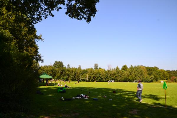 Sportanlage Pleistermühlenweg Platz 2 - Münster/Westfalen-Mauritz