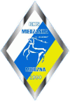 Wappen GKS Miedzanka Miedzna
