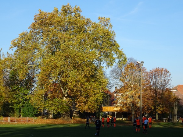 Parkstadion - Stauchitz-Seerhausen
