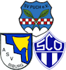 Wappen SG Puch/Biburg/Olching - Frauen (Ground B)