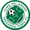 Wappen Tregaron Turfs FC