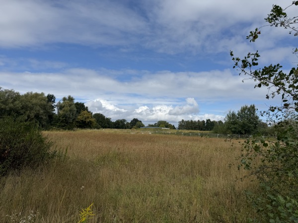 Sportanlage Dratelnstraße Platz 2 (alt) - Hamburg-Wilhelmsburg