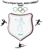 Wappen Colegiul Sportiv Nadia Comăneci diverse