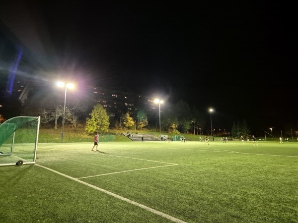 Jesperudjordet kunstgress - Oslo