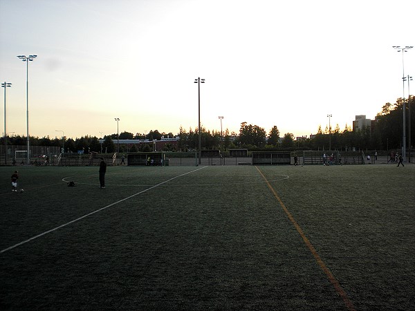 Tapiolan urheilupuisto tekonurmi 3 - Espoo (Esbo)