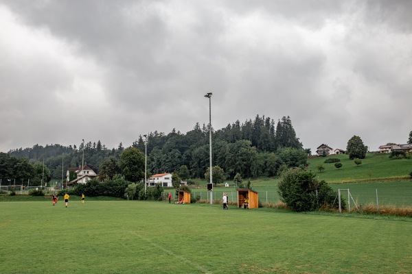 Sportplatz am Ötzbach - Halsbach