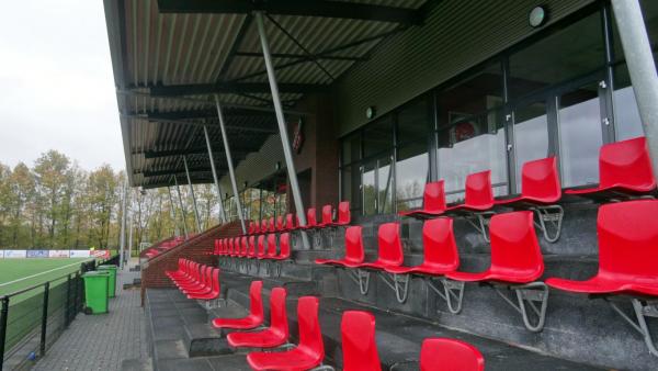 Sportpark De Bijenkorf veld 2-hoofdveld - Hengelo OV