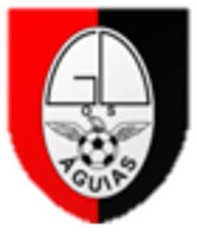 Wappen GD Os Águias