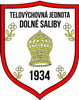 Wappen TJ Družstevník Dolné Saliby