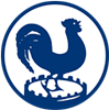 Wappen HV & CV Quick diverse