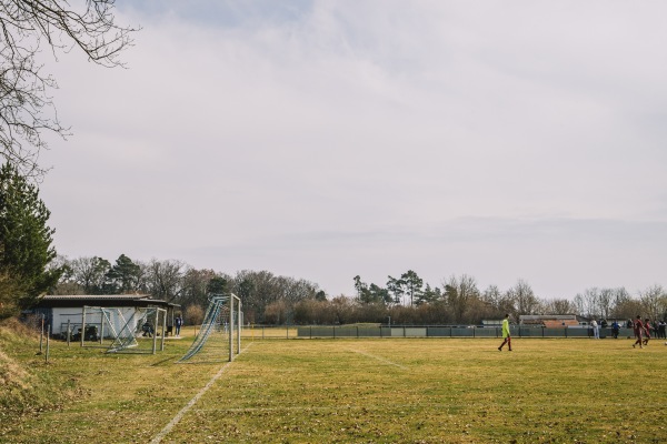 Waldsportanlage Platz 2 - Ammerndorf